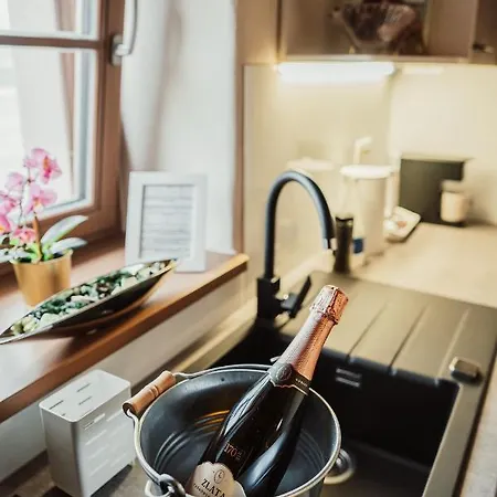 Appartement Kocbek Since 1929 *