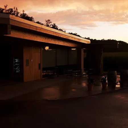 Kocbek Since 1929 Daire *